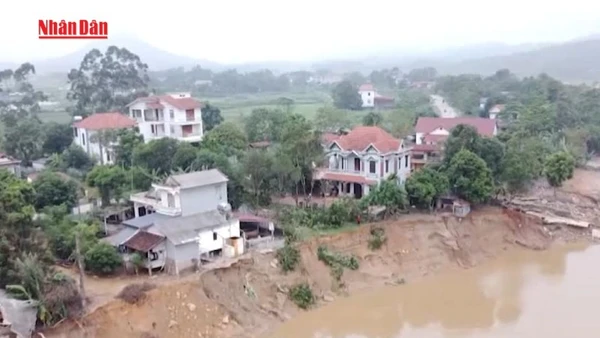[Video] Yêu cầu xử lý khẩn cấp sự cố sạt lở bờ sông Lô