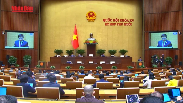 [Video] Gỡ vướng cho nông nghiệp và hoàn thuế: Quốc hội xem xét sửa Luật Thuế giá trị gia tăng