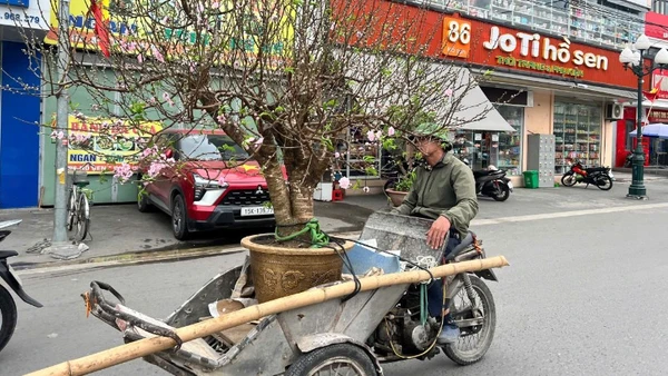 Với nhiều người lao động, Tết là dịp để họ có thể kiếm thêm thu nhập lo cho cuộc sống gia đình.