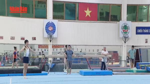 [Video] Các đội tuyển quốc gia tăng tốc chuẩn bị cho SEA Games 33