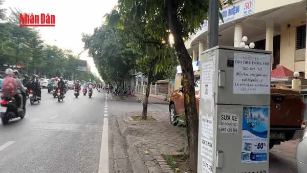 [Video] Hà Nội: Xử lý quảng cáo trái phép trên tủ điện, trạm biến áp