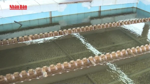 [Video] Bảo đảm cấp nước an toàn, chống thất thu, thất thoát nước sạch 