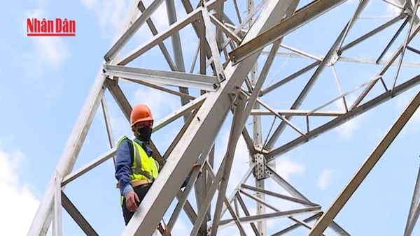 [Video] Nỗ lực thi công dự án đường dây 220kV Than Uyên – Lào Cai
