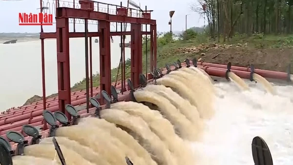 [Video] Hà Nội sẵn sàng cho đợt lấy nước đổ ải vụ Đông Xuân năm 2026 