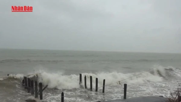 [Video] Bão số 15 giảm cường độ, đổi hướng và tiếp tục di chuyển chậm