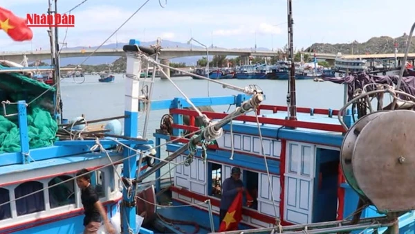 [Video] Khánh Hòa, Lâm Đồng cấm biển ứng phó bão số 15