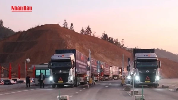 [Video] Khánh thành đường chuyên dụng vận chuyển hàng hóa khu vực cửa khẩu 