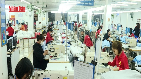 [Video] Hà Nội mở rộng hỗ trợ bảo hiểm xã hội, bảo hiểm y tế cho các đối tượng chính sách