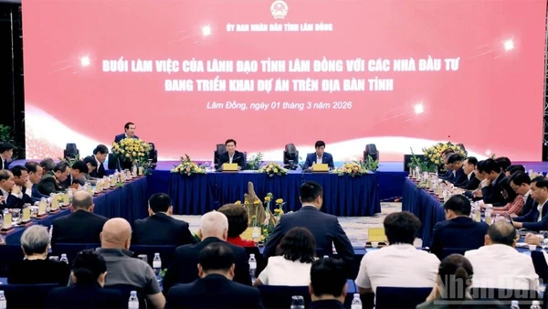 Quang cảnh buổi làm việc.