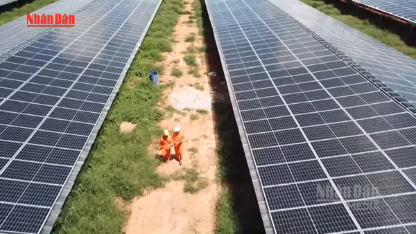 [Video] Doanh nghiệp Việt trong làn sóng đầu tư năng lượng tái tạo 