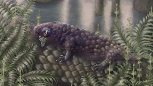 Hình ảnh minh họa về Tyrannoroter heberti. (Ảnh: CNN)