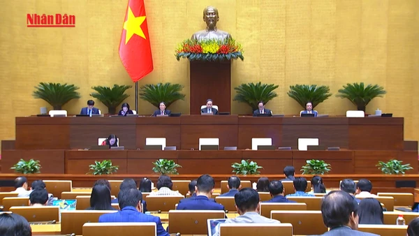 [Video] Học sinh được miễn phí sách giáo khoa từ năm 2026