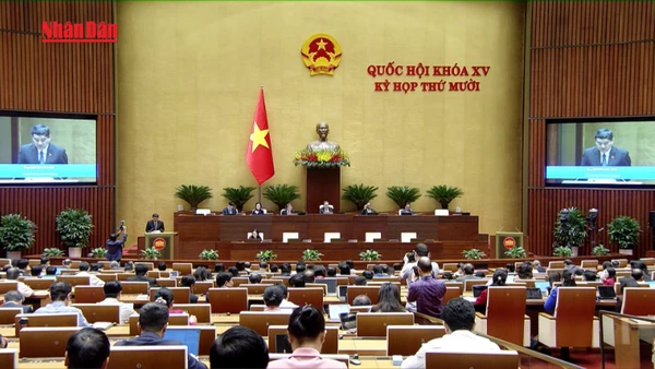 [Video] Quốc hội thông qua Luật Báo chí (sửa đổi)