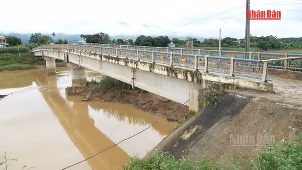 [Video] Tạm cấm lưu thông qua cầu C9 do mố cầu bị xói lở, nứt kết cấu 