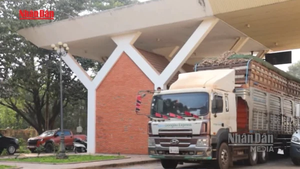 [Video] Tiếp tục ngưng thực hiện Nghị định 46 về an toàn thực phẩm