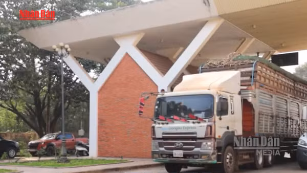 [Video] Tiếp tục ngưng thực hiện Nghị định 46 về an toàn thực phẩm