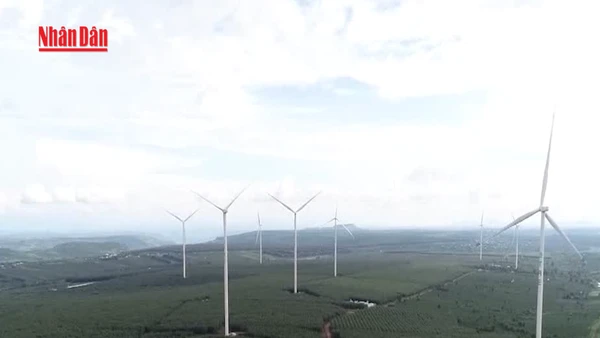 [Video] Nghị quyết 57 đòn bẩy thúc đẩy phát triển năng lượng tái tạo