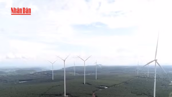 [Video] Nghị quyết 57 đòn bẩy thúc đẩy phát triển năng lượng tái tạo