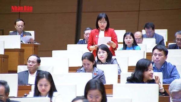 [Video] Dự thảo Luật Viên chức (sửa đổi): Bảo đảm minh bạch, thu hút nhân tài 