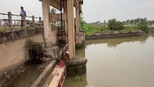 [Video] Tình trạng xâm nhập mặn gia tăng tại thành phố Hải Phòng 