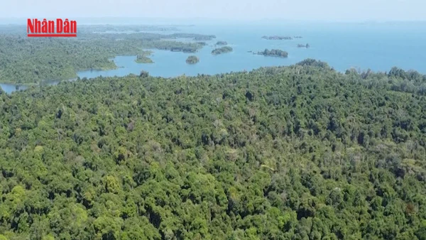 [Video] Lấy nước hồ Dầu Tiếng, hồ Trị An đẩy mặn cho TP Hồ Chí Minh