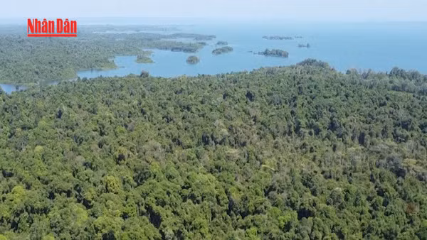 [Video] Lấy nước hồ Dầu Tiếng, hồ Trị An đẩy mặn cho TP Hồ Chí Minh