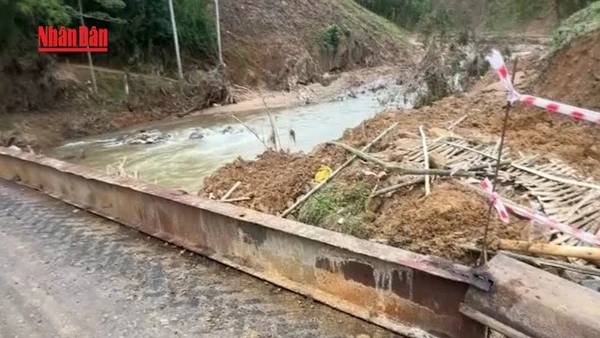 [Video] Người dân xã Sơn Hà, Quảng Ngãi vui mừng khi có cầu thép kiên cố sau lũ