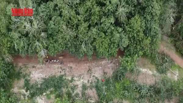 [Video] Tỉnh Đồng Nai khẩn trương đẩy nhanh tiến độ thi công 2 dự án cao tốc 