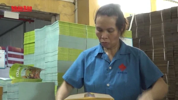 [Video] Cấp phát miễn phí toàn bộ sách giáo khoa cho học sinh vùng lũ 