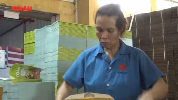 [Video] Cấp phát miễn phí toàn bộ sách giáo khoa cho học sinh vùng lũ 