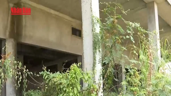 [Video] Thanh tra Chính phủ nêu sai phạm tại Dự án bệnh viện Ung bướu Cần Thơ 