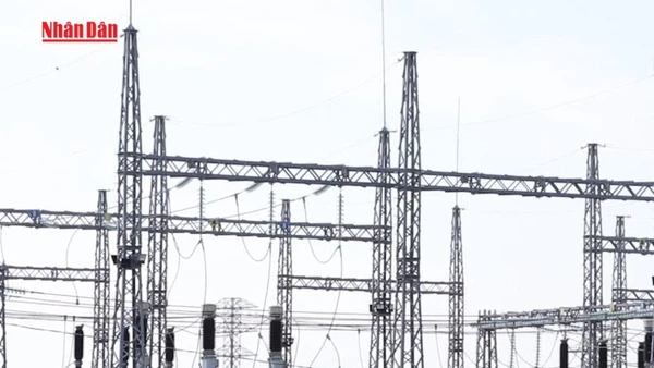 [Video] Cần Thơ sẽ tiếp thêm 271 triệu kWh điện xanh mỗi năm cho đất nước 