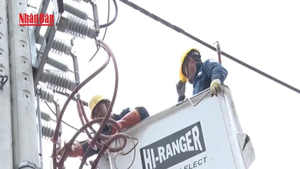 [Video] Điện lực TP Hồ Chí Minh bảo đảm cung cấp điện dịp Noel 2025 và Tết Dương lịch 2026