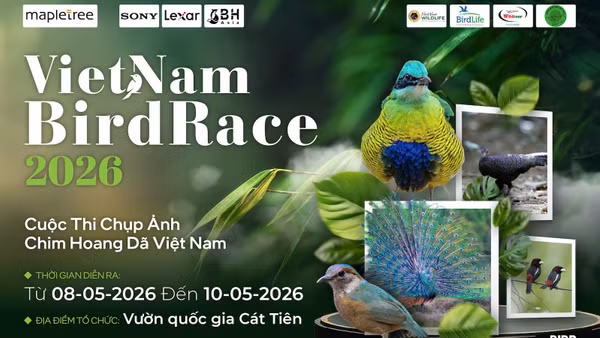 Đây là lần thứ ba cuộc thi nhiếp ảnh chim hoang dã lớn nhất Việt Nam được tổ chức. (Ảnh: BTC)