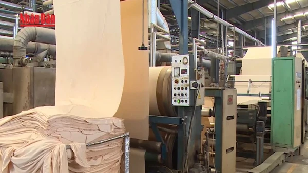 [Video] Tăng giá trị gia tăng cho ngành dệt may Việt Nam 