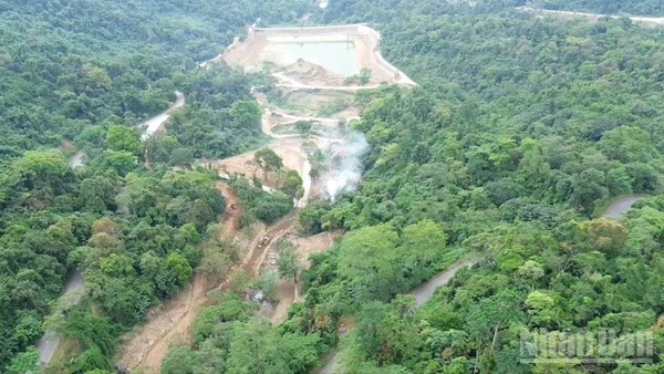 Nhiều diện tích rừng đặc dụng tại Vườn Quốc gia Ba Vì bị thi công lộ ra từng mảng rừng bong tróc.