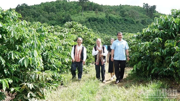 Đội ngũ già làng, trưởng thôn, người có uy tín trong đồng bào dân tộc thiểu số ở Quảng Ngãi thể hiện rõ vai trò cầu nối giữa cấp ủy, chính quyền với đồng bào các dân tộc, góp phần xây dựng hệ thống chính trị tại địa phương. (Ảnh HIỂN CỪ)