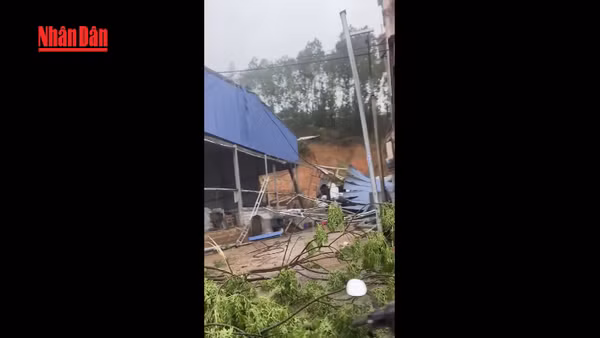 [Video] 5 người bị thương do dông lốc, mưa đá ở miền Bắc