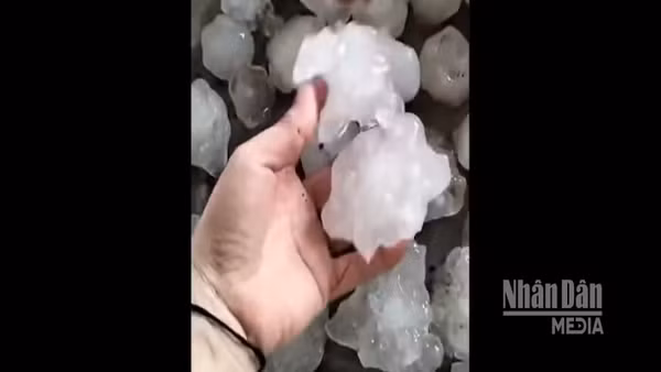 [Video] Mưa đá tiếp tục xuất hiện, gây thiệt hại tại Nghệ An và Hà Tĩnh