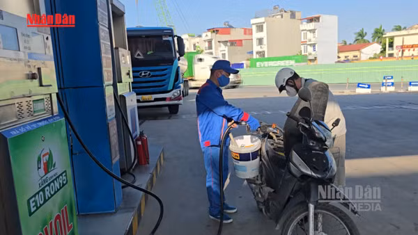 [Video] Không để việc cung ứng xăng E10 bị gián đoạn 
