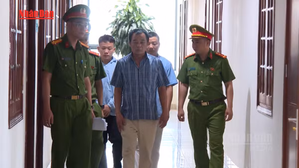 [Video] Thanh Hóa khởi tố đối tượng mua lợn bệnh bán ra thị trường