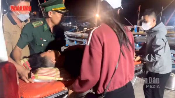 [Video] Gia Lai: Cấp cứu ngư dân khi đang đánh bắt trên biển 