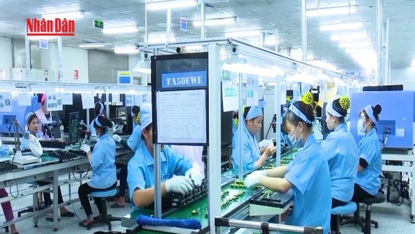 [Video] Bộ Công Thương kích hoạt động lực tăng trưởng cuối năm 