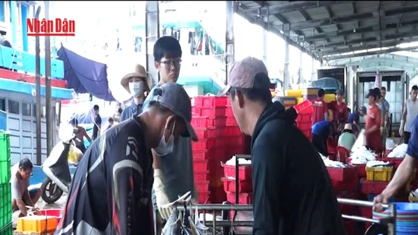 [Video] Ngư dân Khánh Hòa nâng cao ý thức chống khai thác IUU