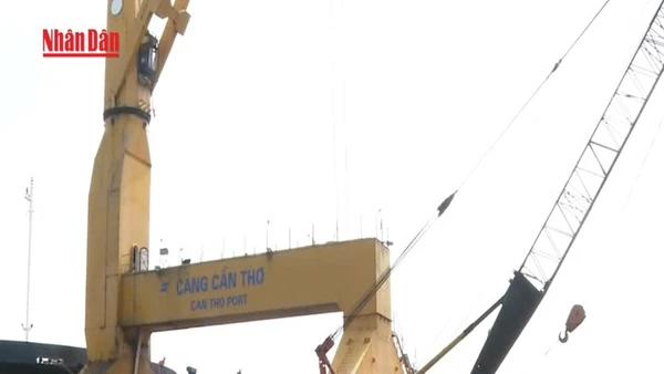 [Video] Thiếu hạ tầng logistics khiến cảng biển Cần Thơ gặp khó 
