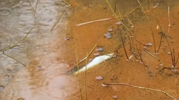 [Video] Khẩn trương khắc phục sự cố tràn dầu tại Dung Quất