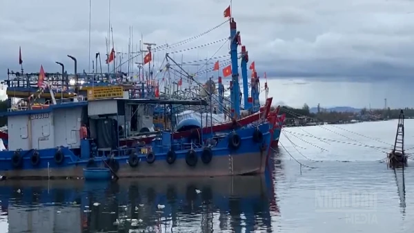 [Video] Thời tiết ngày 15/3: Bắc Bộ mưa phùn, biển nhiều nơi gió mạnh