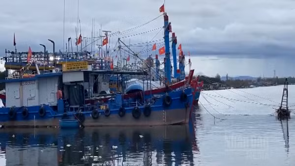 [Video] Thời tiết ngày 15/3: Bắc Bộ mưa phùn, biển nhiều nơi gió mạnh