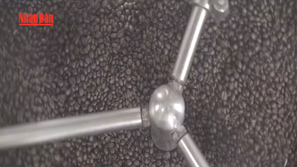 [Video] Giá cà phê và gạo chịu sức ép do nguồn cung tăng