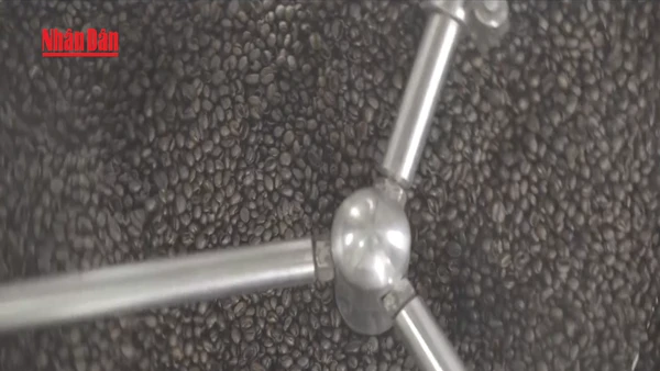 [Video] Giá cà phê và gạo chịu sức ép do nguồn cung tăng